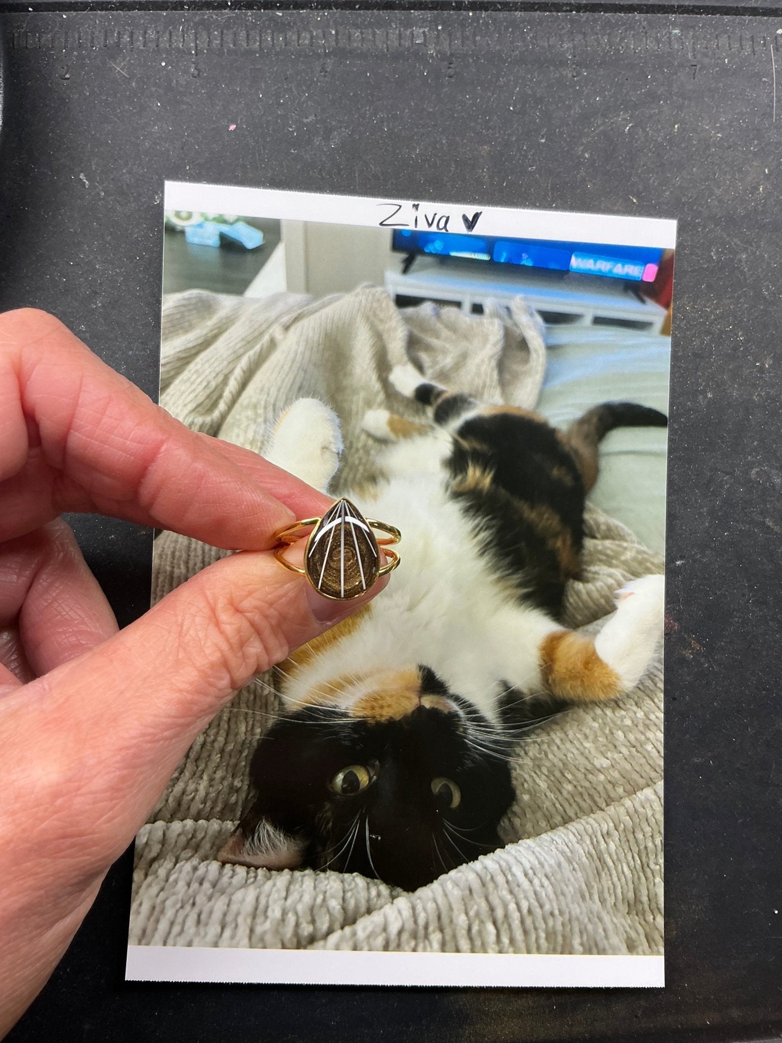 Double Banded Teardrop Pet Keepsake/Memorial Rings - Fallen Whiskers