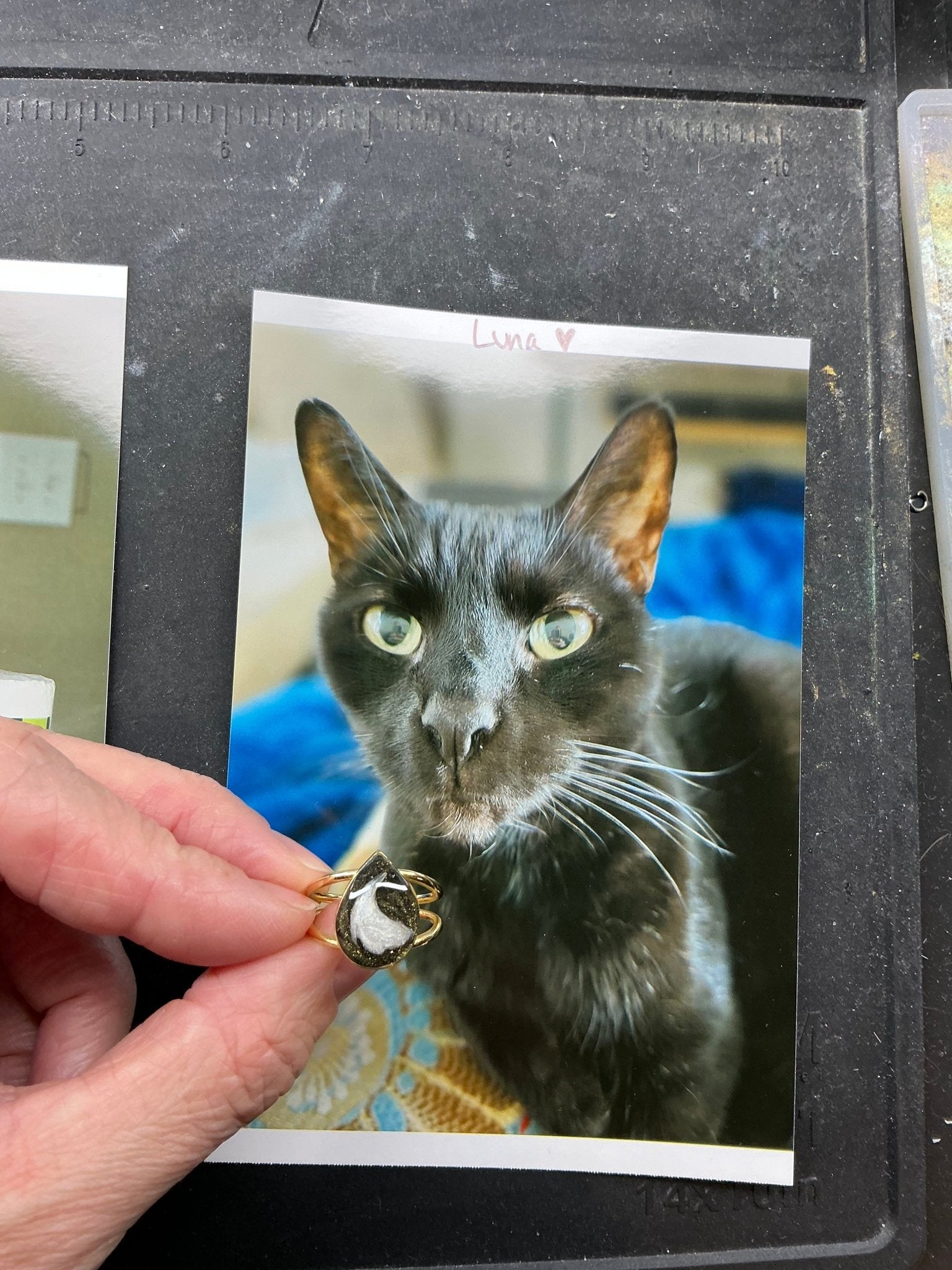 Double Banded Teardrop Pet Keepsake/Memorial Rings - Fallen Whiskers