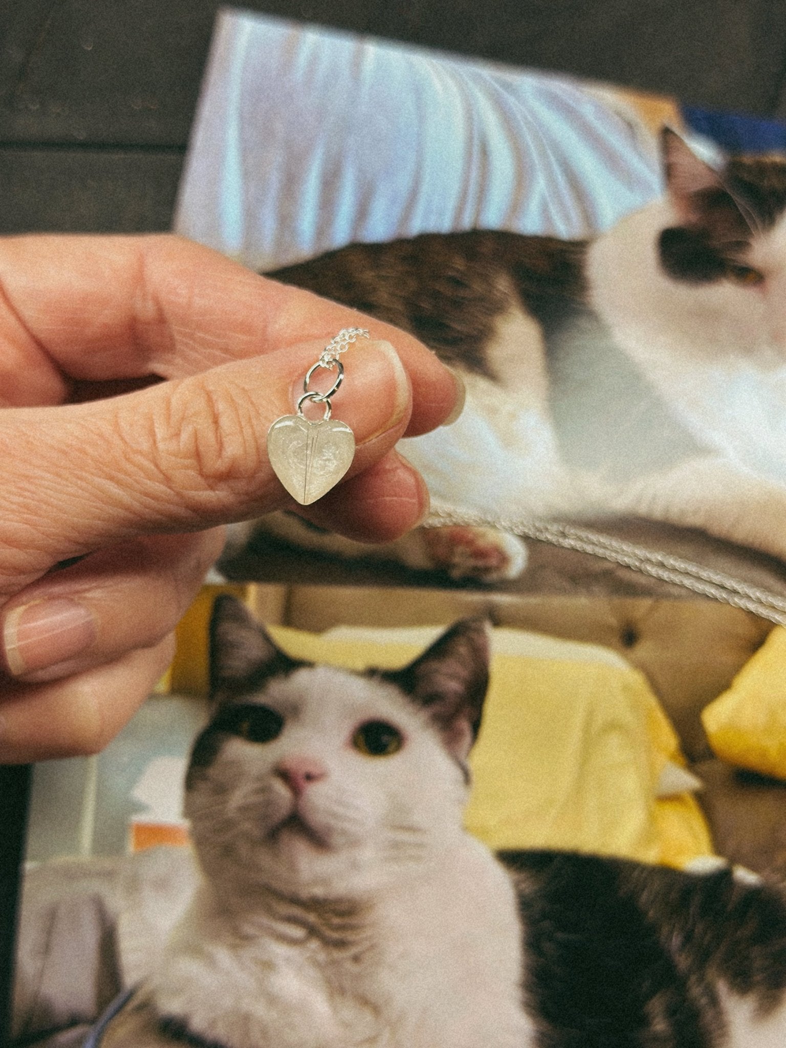 Heart Pet Keepsake/Memorial Pendant - Fallen Whiskers