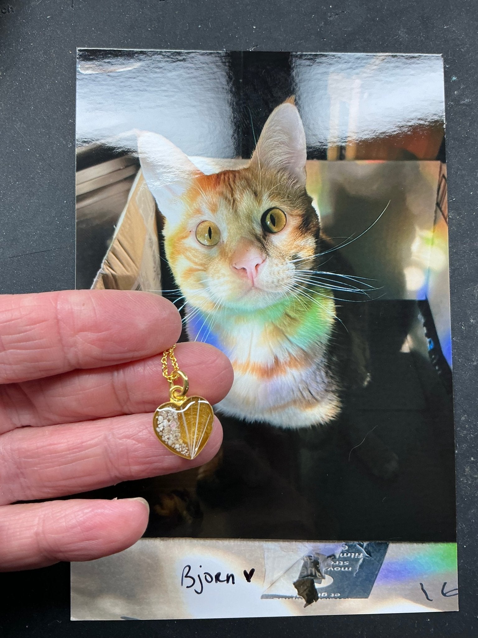 Heart Pet Keepsake/Memorial Pendant - Fallen Whiskers