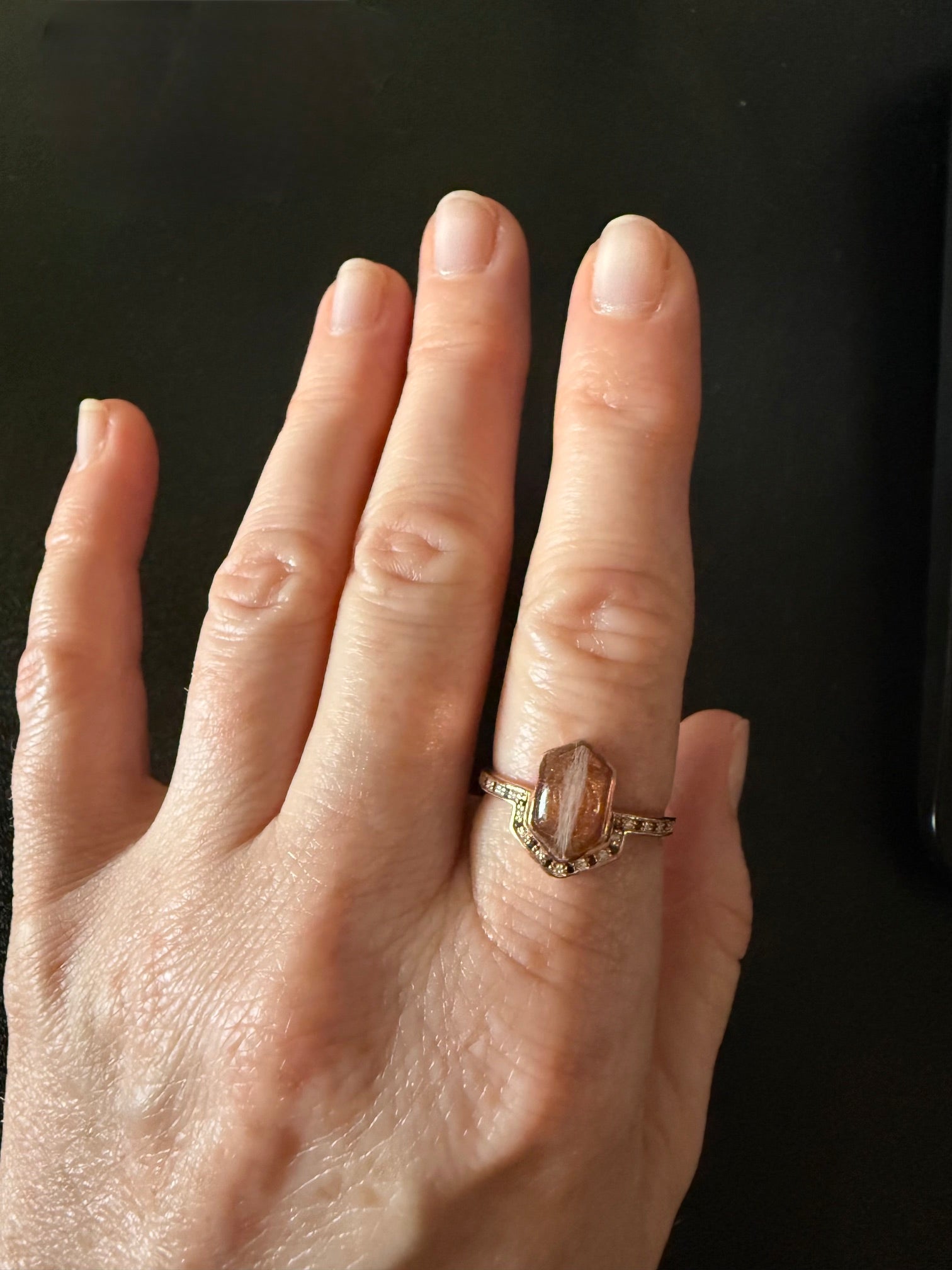 Hexagon & Stone Crown Pet Keepsake/Memorial Ring - Fallen Whiskers