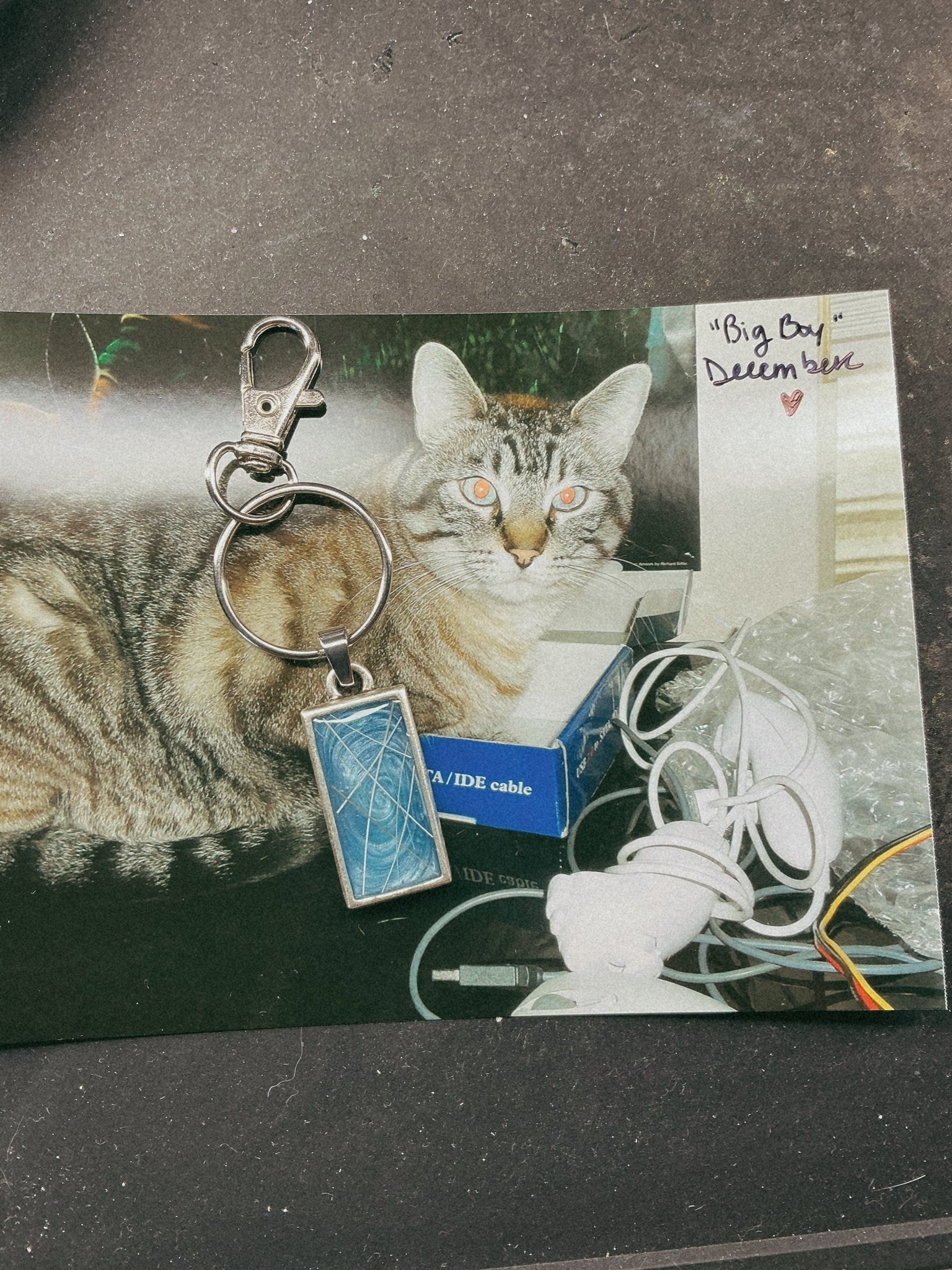Pet Keepsake/Memorial Keychain - Fallen Whiskers