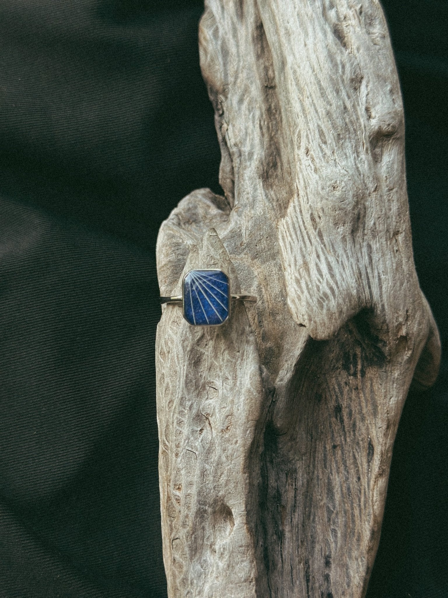 Rectangle Pet Keepsake/Memorial Ring - Fallen Whiskers