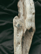 Asteria Keepsake/Memorial Ring - Fallen Whiskers Jewelry