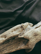 Curved Stacker Cremains Pet Keepsake/Memorial Ring - Fallen Whiskers
