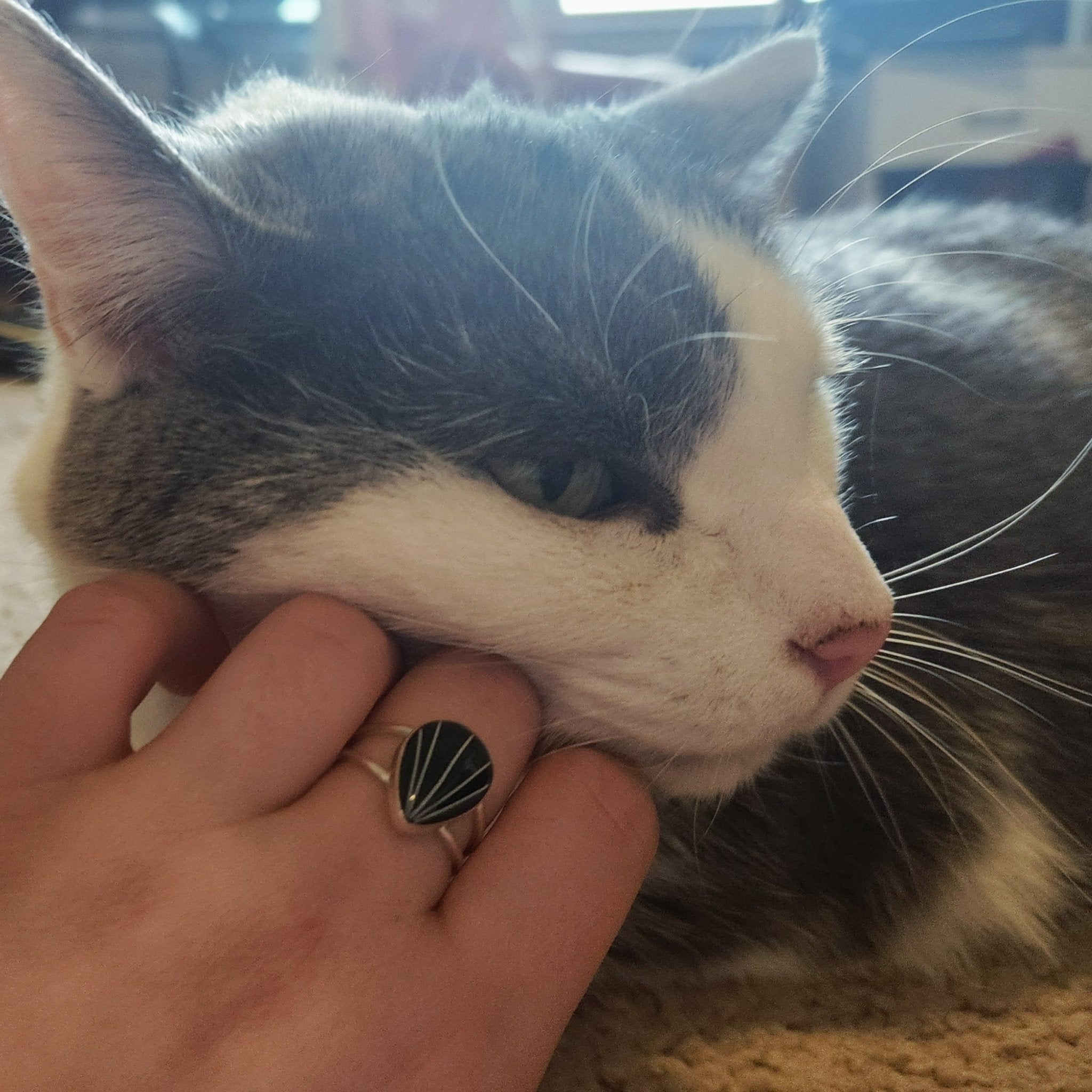 Double Banded Teardrop Pet Keepsake/Memorial Rings - Fallen Whiskers