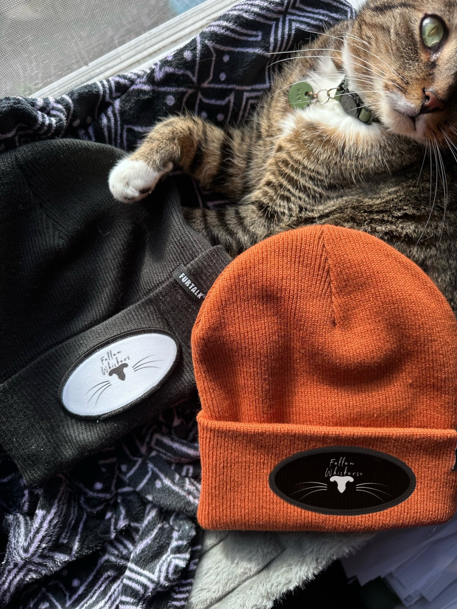 Fallen Whiskers Beanie - Fallen Whiskers