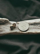 Gold Filled Pet Keepsake/Memorial Studs Earrings - Fallen Whiskers