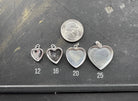 Heart Pet Keepsake/Memorial Pendant - Fallen Whiskers