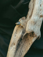 Hexagon Pet Keepsake/Memorial Ring - Fallen Whiskers