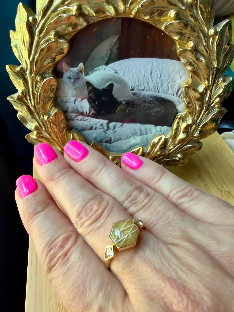 Hexagon Pet Keepsake/Memorial Ring - Fallen Whiskers