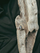 Kite Stone Pet Keepsake/Memorial Ring - Fallen Whiskers