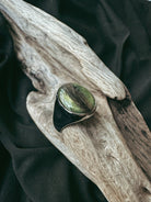 Large Oval Stainless Steel Signet Pet Keepsake/Memorial Ring - Fallen Whiskers