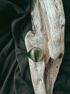 Large Oval Stainless Steel Signet Pet Keepsake/Memorial Ring - Fallen Whiskers