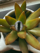 Oval Shaped Pet Keepsake/Memorial Ring - Fallen Whiskers