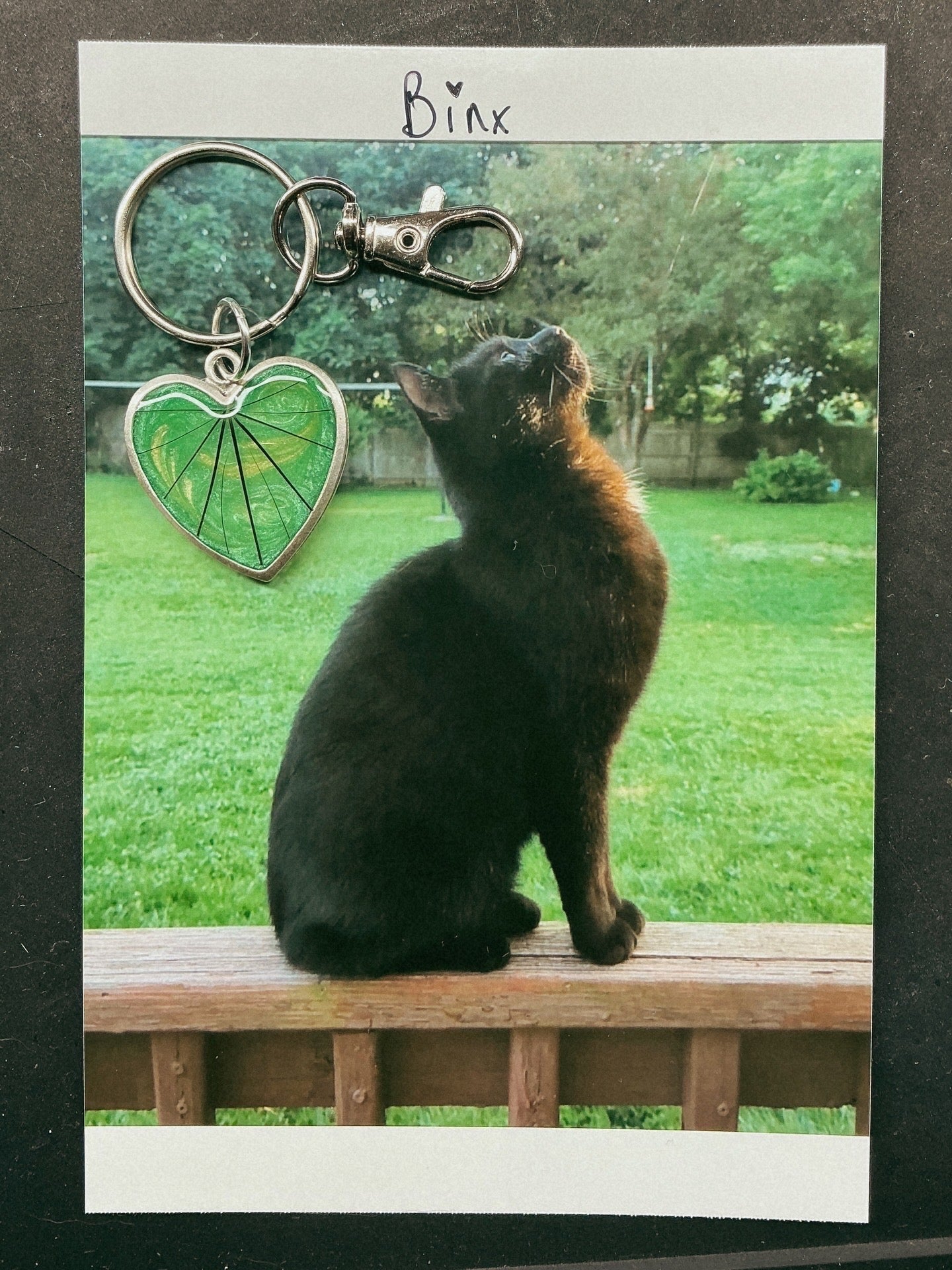 Pet Keepsake/Memorial Keychain - Fallen Whiskers