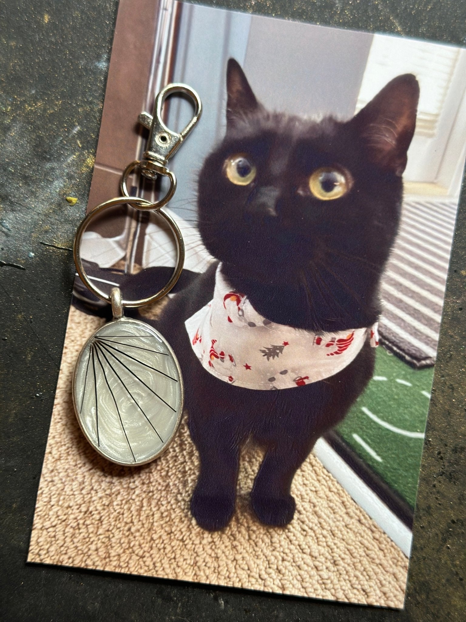 Pet Keepsake/Memorial Keychain - Fallen Whiskers