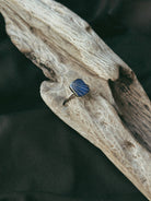 Rectangle Pet Keepsake/Memorial Ring - Fallen Whiskers