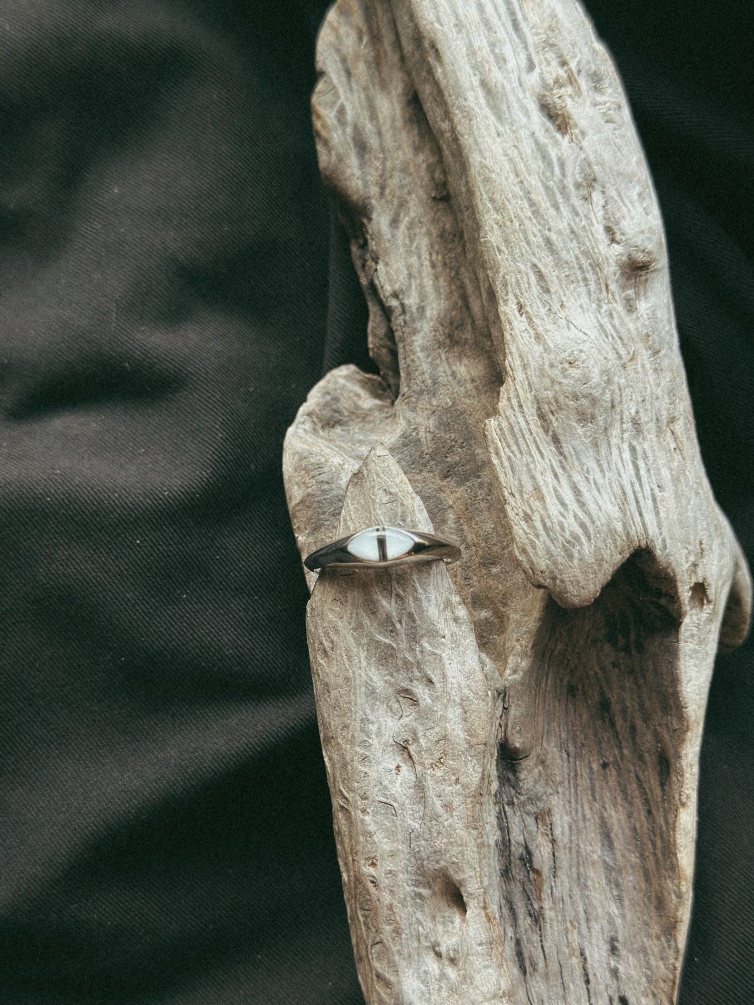 Simple Band Pet Keepsake/Memorial Ring - Fallen Whiskers