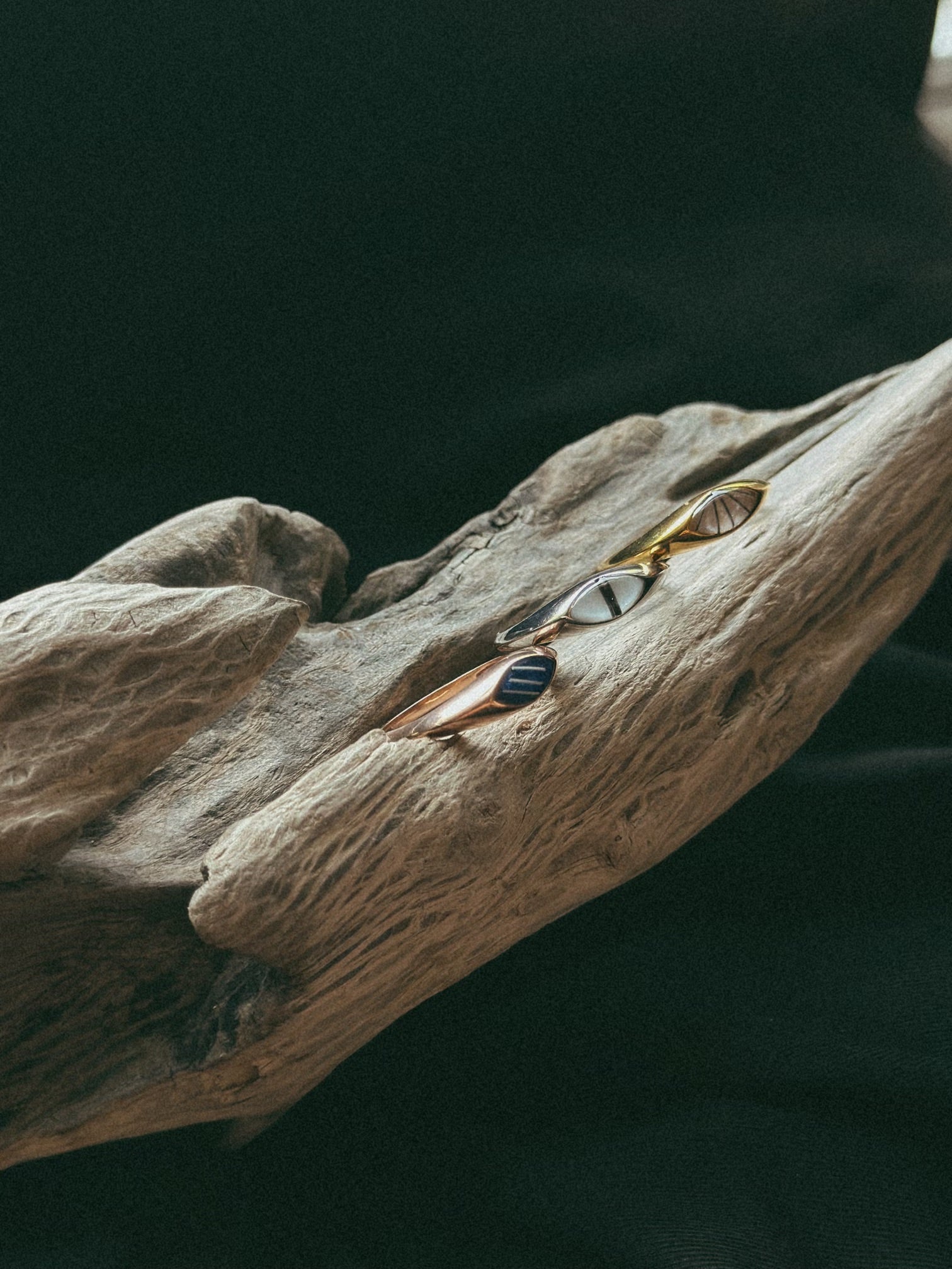Simple Band Pet Keepsake/Memorial Ring - Fallen Whiskers