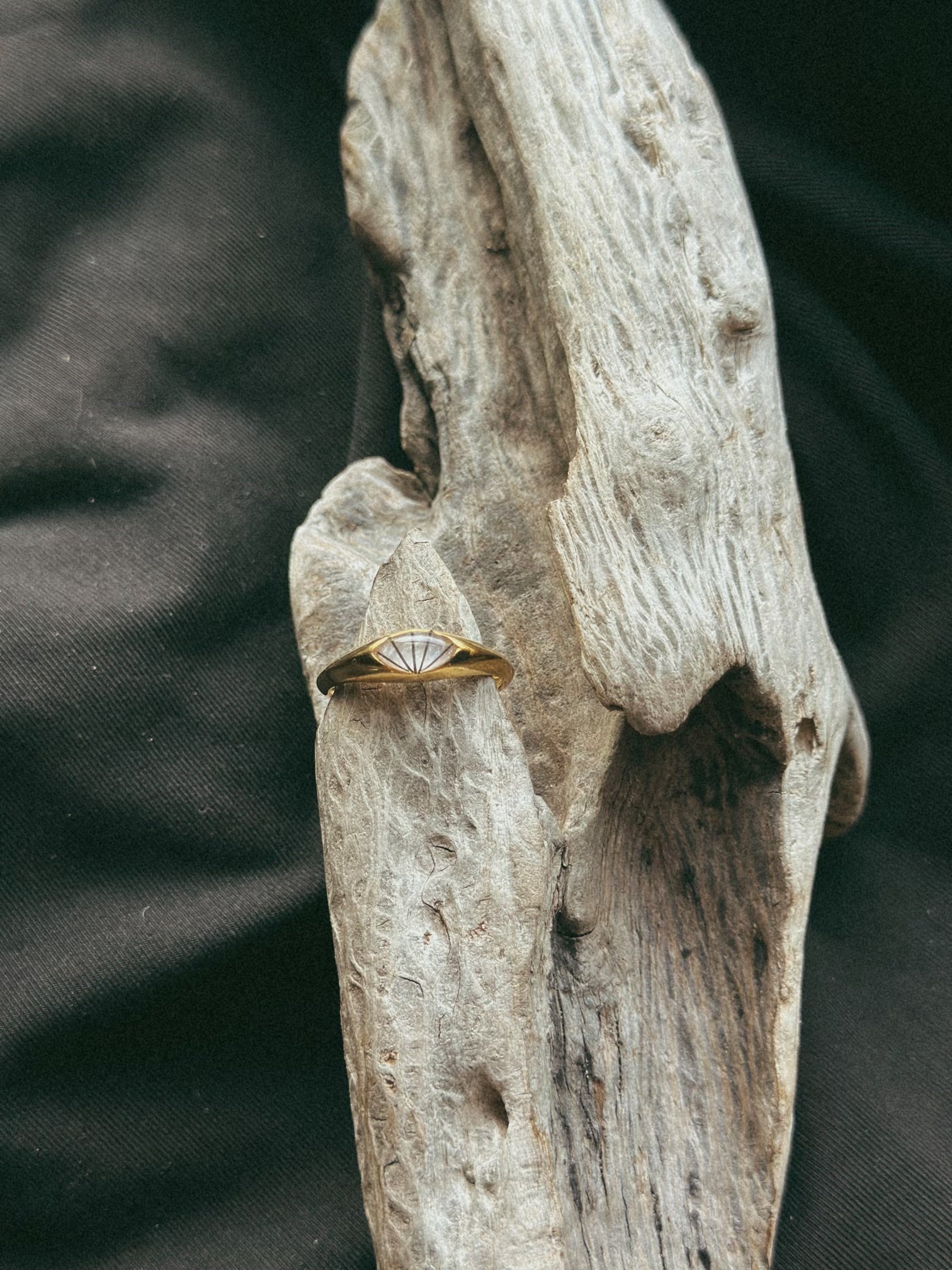 Simple Band Pet Keepsake/Memorial Ring - Fallen Whiskers