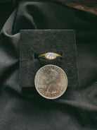 Simple Band Pet Keepsake/Memorial Ring - Fallen Whiskers