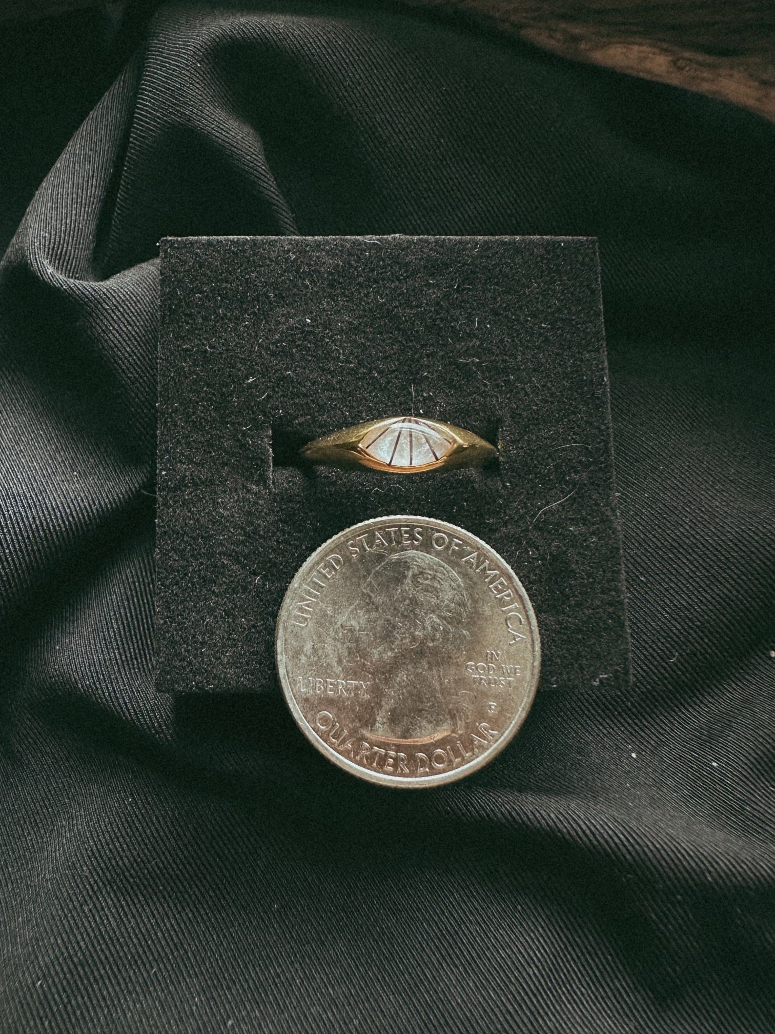 Simple Band Pet Keepsake/Memorial Ring - Fallen Whiskers