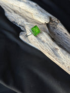 Square Sterling Silver Pet Keepsake/Memorial Ring - Fallen Whiskers