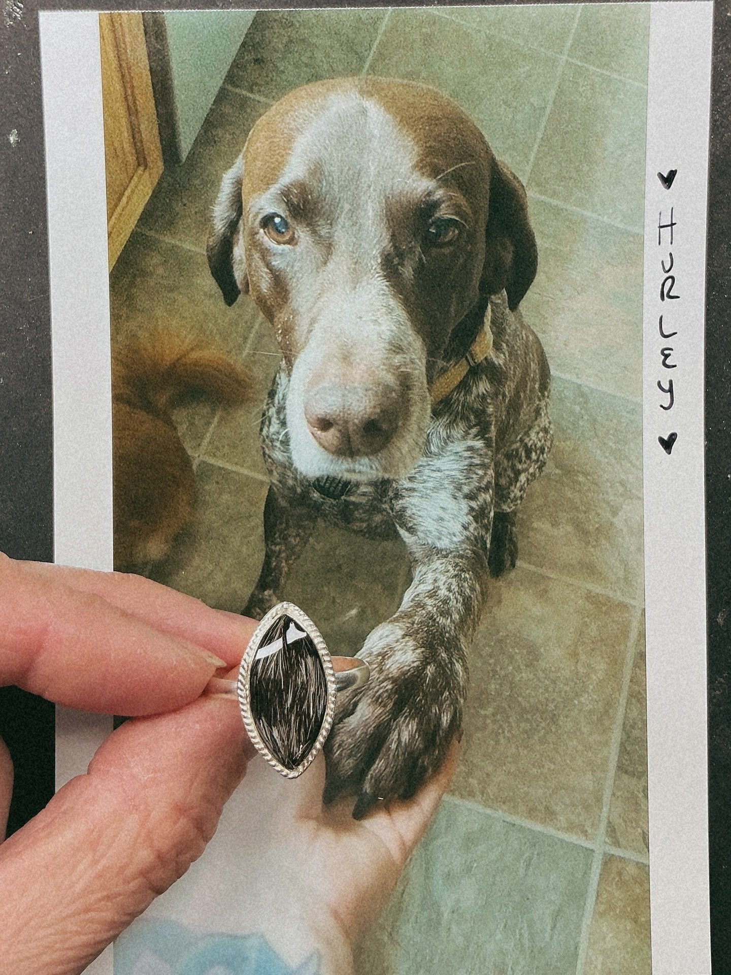 Sterling Silver Marquise Pet Keepsake/Memorial Rings - Fallen Whiskers